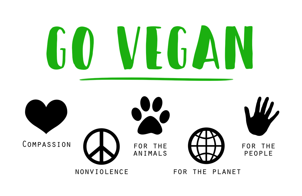 vegan, go vegan, compassion